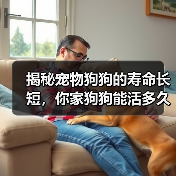 揭秘宠物狗狗的寿命长短,你家狗狗能活多久?(以15种常见宠物狗的寿命榜来看看,谁的寿命更长?)(图4) 揭秘宠物狗狗的寿命长短,你家狗狗能活多久?(以15种常见宠物狗的寿命榜来看看,谁的寿命更长?)(图4)