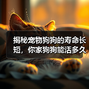 揭秘宠物狗狗的寿命长短,你家狗狗能活多久?(以15种常见宠物狗的寿命榜来看看,谁的寿命更长?)(图1) 揭秘宠物狗狗的寿命长短,你家狗狗能活多久?(以15种常见宠物狗的寿命榜来看看,谁的寿命更长?)(图1)