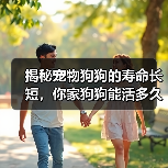 揭秘宠物狗狗的寿命长短,你家狗狗能活多久?(以15种常见宠物狗的寿命榜来看看,谁的寿命更长?)(图2) 揭秘宠物狗狗的寿命长短,你家狗狗能活多久?(以15种常见宠物狗的寿命榜来看看,谁的寿命更长?)(图2)