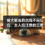 爱犬驱虫后出现不良反应，主人应注意的三要点（牢记不可盲目喂药，保护宠物的健康）（图2）