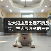 爱犬驱虫后出现不良反应，主人应注意的三要点（牢记不可盲目喂药，保护宠物的健康）（图4）