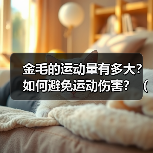 金毛的运动量有多大？如何避免运动伤害？（了解金毛犬的运动需求，掌握科学的运动防护方法）（图4）