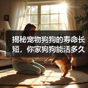 揭秘宠物狗狗的寿命长短,你家狗狗能活多久?(以15种常见宠物狗的寿命榜来看看,谁的寿命更长?)(图3) 揭秘宠物狗狗的寿命长短,你家狗狗能活多久?(以15种常见宠物狗的寿命榜来看看,谁的寿命更长?)(图3)