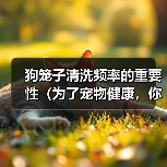 狗笼子清洗频率的重要性(为了宠物健康,你需要知道这些关键信息)(图3) 狗笼子清洗频率的重要性(为了宠物健康,你需要知道这些关键信息)(图3)
