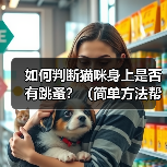 如何判断猫咪身上是否有跳蚤？（简单方法帮助铲屎官们发现猫咪跳蚤问题）（图2）