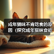 成年猫咪不肯吃食的原因（探究成年猫咪食欲不振的原因及解决方法）（图4）