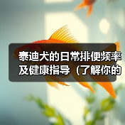 泰迪犬的日常排便频率及健康指导（了解你的宠物）（图3）