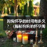 狗狗怀孕的时间有多久?(揭秘狗狗的怀孕周期及相关知识)(图3) 狗狗怀孕的时间有多久?(揭秘狗狗的怀孕周期及相关知识)(图3)