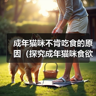 成年猫咪不肯吃食的原因（探究成年猫咪食欲不振的原因及解决方法）（图1）