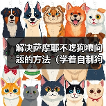 解决萨摩耶不吃狗粮问题的方法(学着自制狗粮,让狗狗营养均衡不挑食)(图1) 解决萨摩耶不吃狗粮问题的方法(学着自制狗粮,让狗狗营养均衡不挑食)(图1)