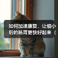 如何加速康复，让细小后的肠胃更快好起来（掌握这些关键方法，帮助您迅速恢复肠胃健康）（图4）
