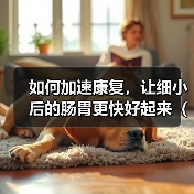 如何加速康复，让细小后的肠胃更快好起来（掌握这些关键方法，帮助您迅速恢复肠胃健康）（图2）