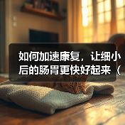 如何加速康复，让细小后的肠胃更快好起来（掌握这些关键方法，帮助您迅速恢复肠胃健康）（图3）
