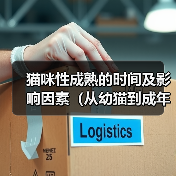 猫咪性成熟的时间及影响因素(从幼猫到成年猫,性成熟需要多久?)(图2) 猫咪性成熟的时间及影响因素(从幼猫到成年猫,性成熟需要多久?)(图2)