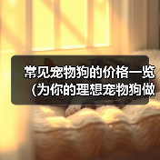 常见宠物狗的价格一览（为你的理想宠物狗做预算吧！）（图4）