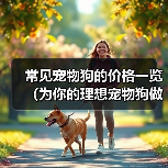 常见宠物狗的价格一览（为你的理想宠物狗做预算吧！）（图2）