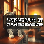 八哥和鹦鹉的对比(探究八哥与鹦鹉的智能差异,发现八哥的独特优势)(图4) 八哥和鹦鹉的对比(探究八哥与鹦鹉的智能差异,发现八哥的独特优势)(图4)
