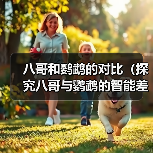 八哥和鹦鹉的对比(探究八哥与鹦鹉的智能差异,发现八哥的独特优势)(图3) 八哥和鹦鹉的对比(探究八哥与鹦鹉的智能差异,发现八哥的独特优势)(图3)