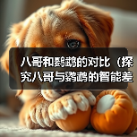 八哥和鹦鹉的对比(探究八哥与鹦鹉的智能差异,发现八哥的独特优势)(图2) 八哥和鹦鹉的对比(探究八哥与鹦鹉的智能差异,发现八哥的独特优势)(图2)