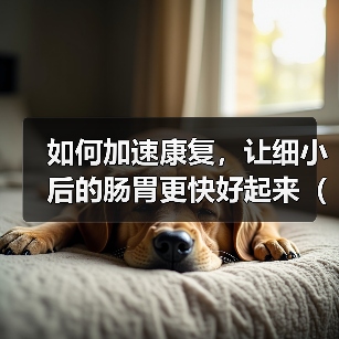 如何加速康复，让细小后的肠胃更快好起来（掌握这些关键方法，帮助您迅速恢复肠胃健康）（图1）