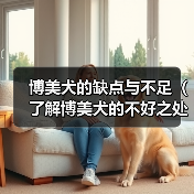 博美犬的缺点与不足（了解博美犬的不好之处，做出明智的选择）（图2）