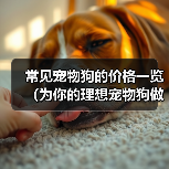 常见宠物狗的价格一览（为你的理想宠物狗做预算吧！）（图3）