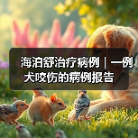 海泊舒治疗病例 | 一例犬咬伤的病例报告（图3）