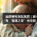 瑞辰宠物医院集团 | 第3周“每周之星”光荣榜（图4）