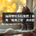 瑞辰宠物医院集团 | 第3周“每周之星”光荣榜（图2）