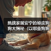 挑战家居安宁的顽皮狗狗大揭秘（以哪些狗狗最能拆家？）（图1）
