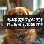 挑战家居安宁的顽皮狗狗大揭秘（以哪些狗狗最能拆家？）（图4）