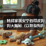 挑战家居安宁的顽皮狗狗大揭秘（以哪些狗狗最能拆家？）（图3）