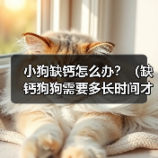 小狗缺钙怎么办？（缺钙狗狗需要多长时间才能康复？）（图3）