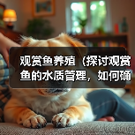 观赏鱼养殖（探讨观赏鱼的水质管理，如何确定换水的频率）（图1）