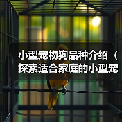 小型宠物狗品种介绍（探索适合家庭的小型宠物狗，了解其特点和需求）（图4）