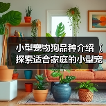 小型宠物狗品种介绍（探索适合家庭的小型宠物狗，了解其特点和需求）（图3）