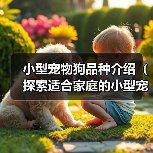 小型宠物狗品种介绍（探索适合家庭的小型宠物狗，了解其特点和需求）（图1）