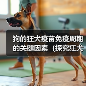 狗的狂犬疫苗免疫周期的关键因素（探究狂犬疫苗对狗的免疫力持续时间和关键影响因素）（图3）