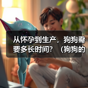 从怀孕到生产，狗狗需要多长时间？（狗狗的妊娠期、分娩期和哺乳期）（图1）