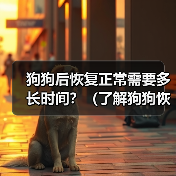 狗狗后恢复正常需要多长时间？（了解狗狗恢复时间的关键因素和注意事项）（图2）