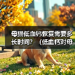 母猫低血钙恢复需要多长时间？（低血钙对母猫健康的影响及恢复所需时间）（图2）