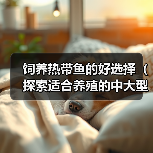 饲养热带鱼的好选择（探索适合养殖的中大型热带鱼种类）（图1）