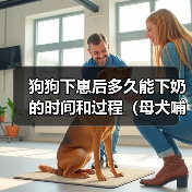 狗狗下崽后多久能下奶的时间和过程（母犬哺乳期的重要性和注意事项）（图4）