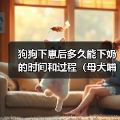 狗狗下崽后多久能下奶的时间和过程（母犬哺乳期的重要性和注意事项）（图2）