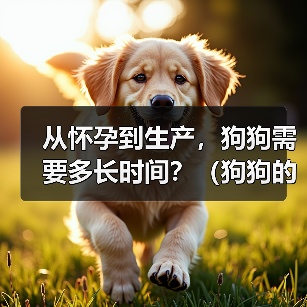 从怀孕到生产，狗狗需要多长时间？（狗狗的妊娠期、分娩期和哺乳期）（图3）
