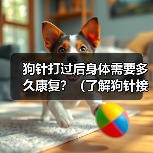 狗针打过后身体需要多久康复？（了解狗针接种对身体康复的影响与时间）（图3）