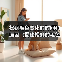 松狮毛色变化的时间和原因（揭秘松狮的毛色变化过程及其影响）（图1）