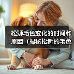 松狮毛色变化的时间和原因（揭秘松狮的毛色变化过程及其影响）（图3）