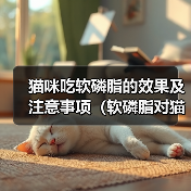 猫咪吃软磷脂的效果及注意事项（软磷脂对猫咪的健康有何影响，怎样正确喂养）（图1）