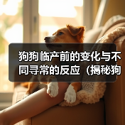 狗狗临产前的变化与不同寻常的反应（揭秘狗狗即将生产的神奇变化和行为表现）（图4）
